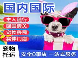 连云港花果山空运国际宠物托运 【国